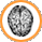 mindconnected